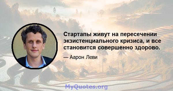 Стартапы живут на пересечении экзистенциального кризиса, и все становится совершенно здорово.