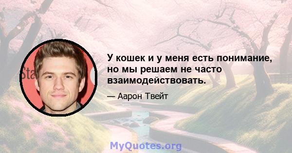 У кошек и у меня есть понимание, но мы решаем не часто взаимодействовать.