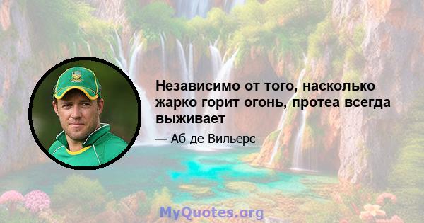 Независимо от того, насколько жарко горит огонь, протеа всегда выживает