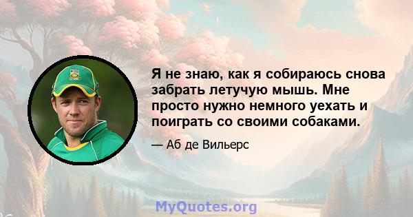 Я не знаю, как я собираюсь снова забрать летучую мышь. Мне просто нужно немного уехать и поиграть со своими собаками.