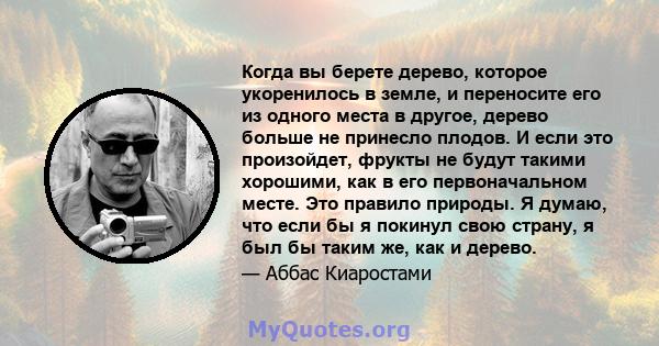 Когда вы берете дерево, которое укоренилось в земле, и переносите его из одного места в другое, дерево больше не принесло плодов. И если это произойдет, фрукты не будут такими хорошими, как в его первоначальном месте.