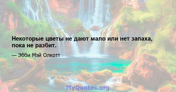 Некоторые цветы не дают мало или нет запаха, пока не разбит.