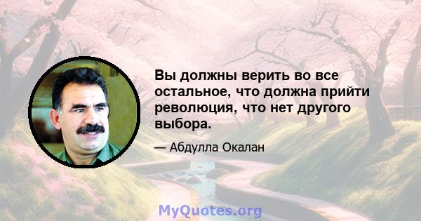 Вы должны верить во все остальное, что должна прийти революция, что нет другого выбора.