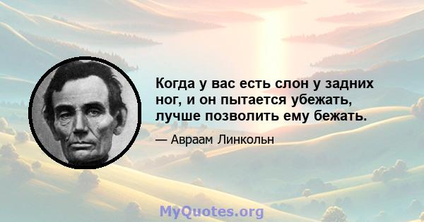 Когда у вас есть слон у задних ног, и он пытается убежать, лучше позволить ему бежать.