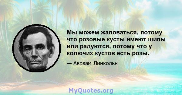 Мы можем жаловаться, потому что розовые кусты имеют шипы или радуются, потому что у колючих кустов есть розы.