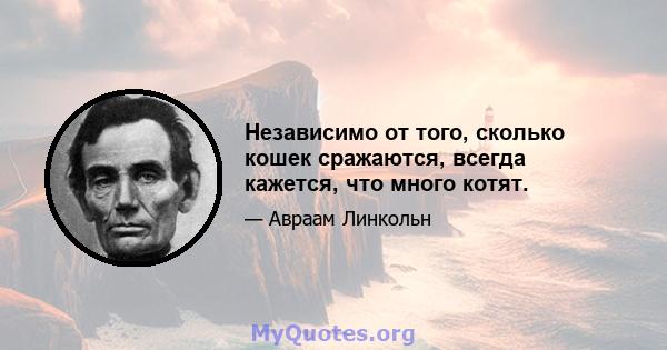 Независимо от того, сколько кошек сражаются, всегда кажется, что много котят.