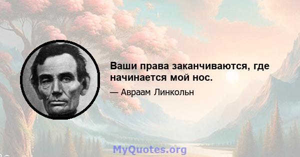 Ваши права заканчиваются, где начинается мой нос.