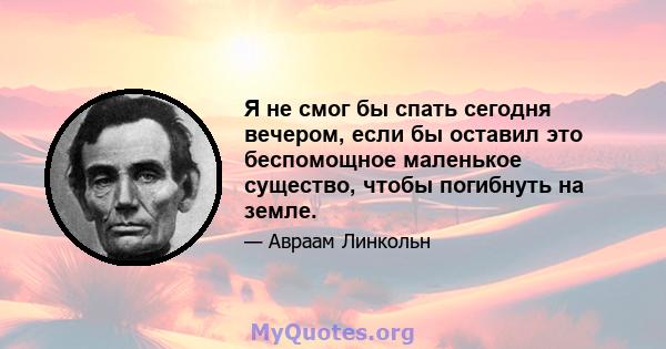 Я не смог бы спать сегодня вечером, если бы оставил это беспомощное маленькое существо, чтобы погибнуть на земле.