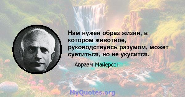 Нам нужен образ жизни, в котором животное, руководствуясь разумом, может суетиться, но не укусится.