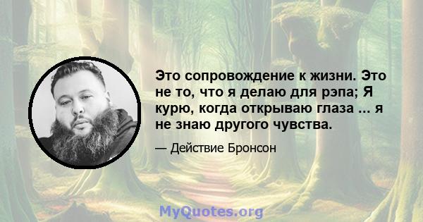 Это сопровождение к жизни. Это не то, что я делаю для рэпа; Я курю, когда открываю глаза ... я не знаю другого чувства.