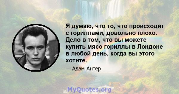 Я думаю, что то, что происходит с гориллами, довольно плохо. Дело в том, что вы можете купить мясо гориллы в Лондоне в любой день, когда вы этого хотите.