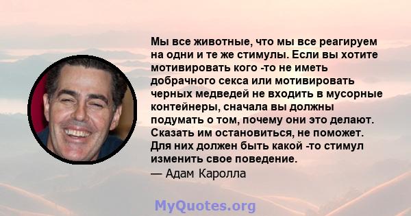 Мы все животные, что мы все реагируем на одни и те же стимулы. Если вы хотите мотивировать кого -то не иметь добрачного секса или мотивировать черных медведей не входить в мусорные контейнеры, сначала вы должны подумать 