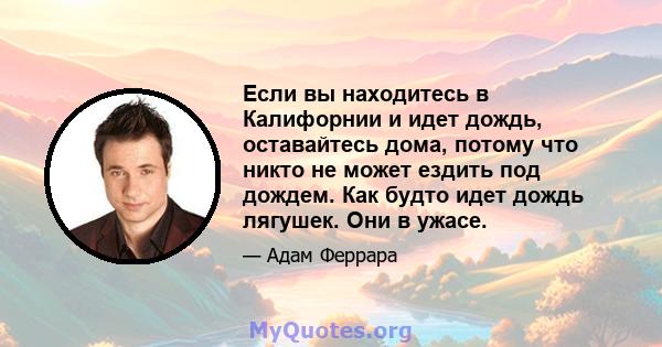 Если вы находитесь в Калифорнии и идет дождь, оставайтесь дома, потому что никто не может ездить под дождем. Как будто идет дождь лягушек. Они в ужасе.