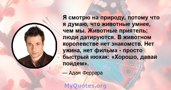 Я смотрю на природу, потому что я думаю, что животные умнее, чем мы. Животные приятель; люди датируются. В животном королевстве нет знакомств. Нет ужина, нет фильма - просто быстрый нюхак: «Хорошо, давай пойдем».