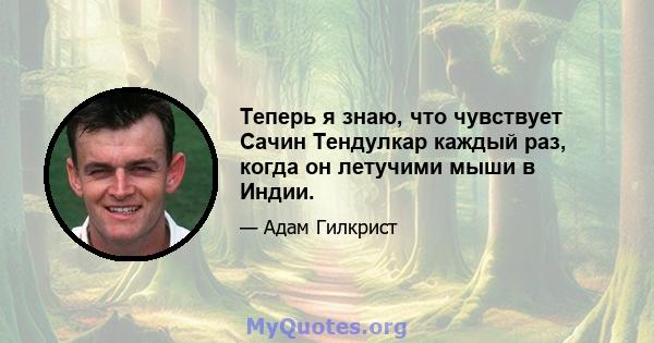 Теперь я знаю, что чувствует Сачин Тендулкар каждый раз, когда он летучими мыши в Индии.