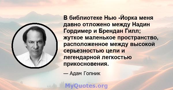 В библиотеке Нью -Йорка меня давно отложено между Надин Гордимер и Брендан Гилл; жуткое маленькое пространство, расположенное между высокой серьезностью цели и легендарной легкостью прикосновения.