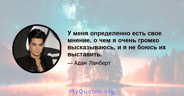 У меня определенно есть свое мнение, о чем я очень громко высказываюсь, и я не боюсь их выставить.