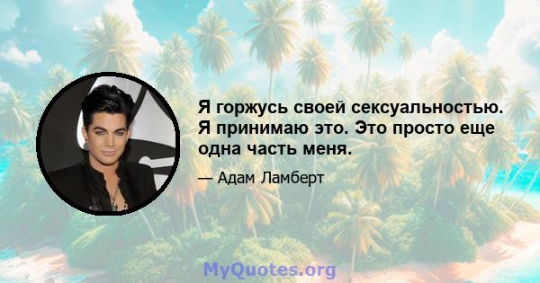 Я горжусь своей сексуальностью. Я принимаю это. Это просто еще одна часть меня.