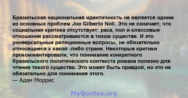 Бразильская национальная идентичность не является одним из основных проблем Joo Gilberto Noll. Это не означает, что социальная критика отсутствует: раса, пол и классовые отношения рассматриваются в тихом существе. И это 