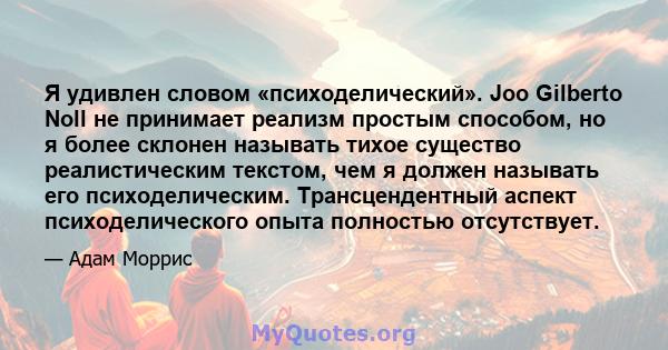 Я удивлен словом «психоделический». Joo Gilberto Noll не принимает реализм простым способом, но я более склонен называть тихое существо реалистическим текстом, чем я должен называть его психоделическим. Трансцендентный