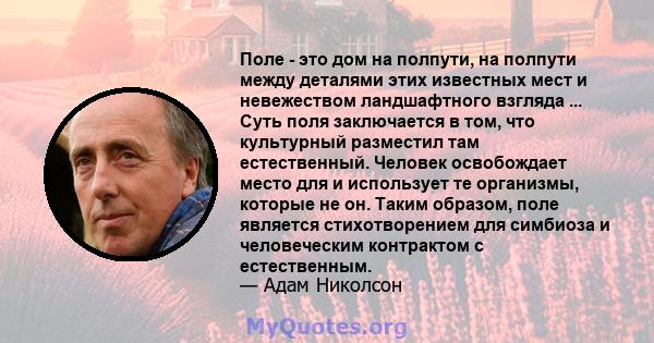 Поле - это дом на полпути, на полпути между деталями этих известных мест и невежеством ландшафтного взгляда ... Суть поля заключается в том, что культурный разместил там естественный. Человек освобождает место для и