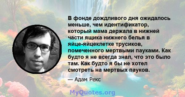 В фонде дождливого дня ожидалось меньше, чем идентификатор, который мама держала в нижней части ящика нижнего белья в яйце-яйцеклетке трусиков, помеченного мертвыми пауками. Как будто я не всегда знал, что это было там. 