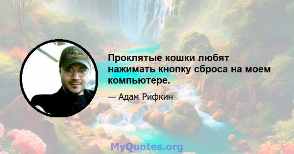 Проклятые кошки любят нажимать кнопку сброса на моем компьютере.