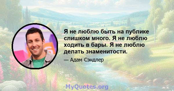 Я не люблю быть на публике слишком много. Я не люблю ходить в бары. Я не люблю делать знаменитости.