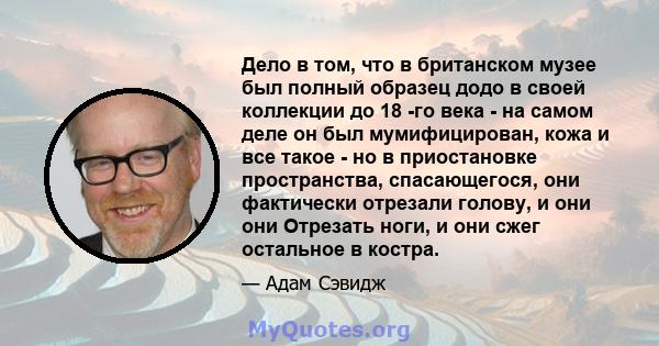 Дело в том, что в британском музее был полный образец додо в своей коллекции до 18 -го века - на самом деле он был мумифицирован, кожа и все такое - но в приостановке пространства, спасающегося, они фактически отрезали