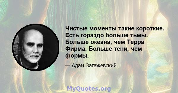 Чистые моменты такие короткие. Есть гораздо больше тьмы. Больше океана, чем Терра Фирма. Больше тени, чем формы.