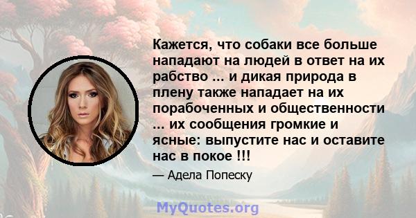 Кажется, что собаки все больше нападают на людей в ответ на их рабство ... и дикая природа в плену также нападает на их порабоченных и общественности ... их сообщения громкие и ясные: выпустите нас и оставите нас в