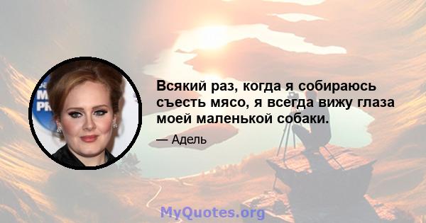 Всякий раз, когда я собираюсь съесть мясо, я всегда вижу глаза моей маленькой собаки.