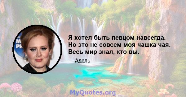 Я хотел быть певцом навсегда. Но это не совсем моя чашка чая. Весь мир знал, кто вы.