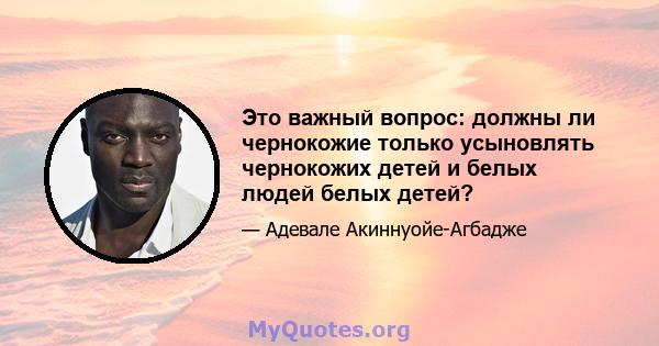 Это важный вопрос: должны ли чернокожие только усыновлять чернокожих детей и белых людей белых детей?