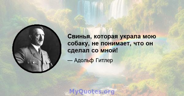 Свинья, которая украла мою собаку, не понимает, что он сделал со мной!