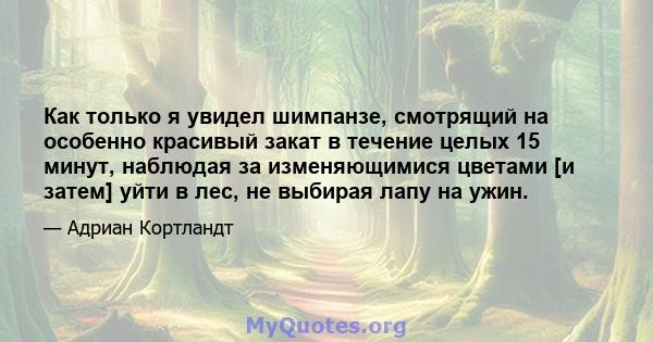 Как только я увидел шимпанзе, смотрящий на особенно красивый закат в течение целых 15 минут, наблюдая за изменяющимися цветами [и затем] уйти в лес, не выбирая лапу на ужин.