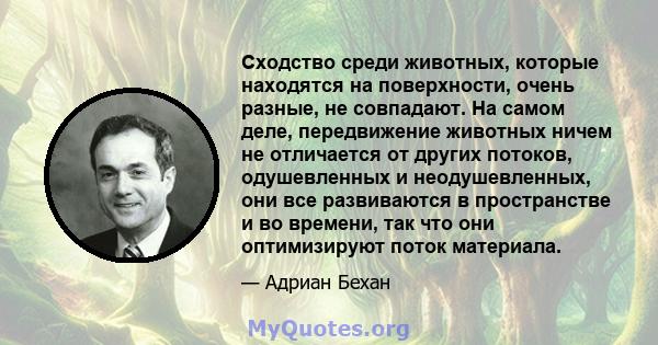 Сходство среди животных, которые находятся на поверхности, очень разные, не совпадают. На самом деле, передвижение животных ничем не отличается от других потоков, одушевленных и неодушевленных, они все развиваются в