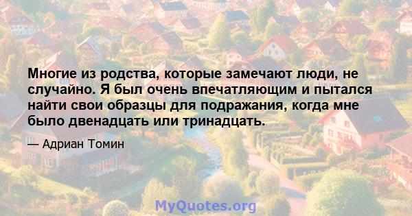 Многие из родства, которые замечают люди, не случайно. Я был очень впечатляющим и пытался найти свои образцы для подражания, когда мне было двенадцать или тринадцать.