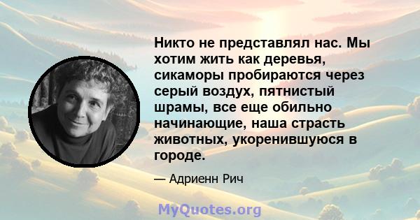 Никто не представлял нас. Мы хотим жить как деревья, сикаморы пробираются через серый воздух, пятнистый шрамы, все еще обильно начинающие, наша страсть животных, укоренившуюся в городе.