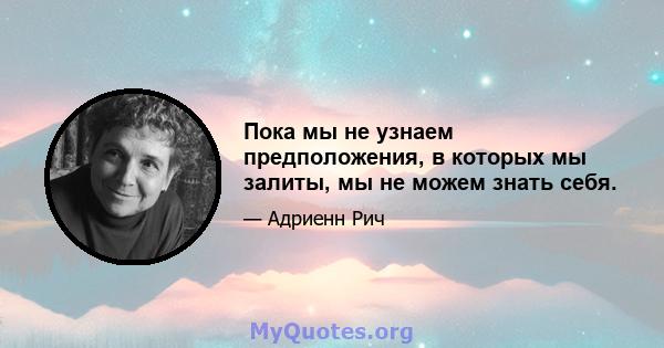 Пока мы не узнаем предположения, в которых мы залиты, мы не можем знать себя.