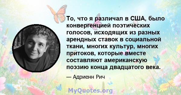 То, что я различал в США, было конвергенцией поэтических голосов, исходящих из разных арендных ставок в социальной ткани, многих культур, многих притоков, которые вместе составляют американскую поэзию конца двадцатого