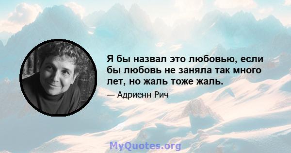 Я бы назвал это любовью, если бы любовь не заняла так много лет, но жаль тоже жаль.