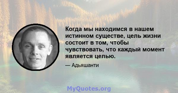 Когда мы находимся в нашем истинном существе, цель жизни состоит в том, чтобы чувствовать, что каждый момент является целью.