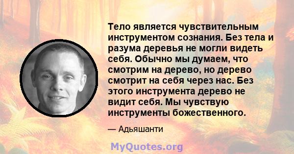 Тело является чувствительным инструментом сознания. Без тела и разума деревья не могли видеть себя. Обычно мы думаем, что смотрим на дерево, но дерево смотрит на себя через нас. Без этого инструмента дерево не видит