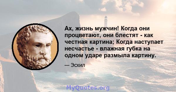 Ах, жизнь мужчин! Когда они процветают, они блестят - как честная картина; Когда наступает несчастье - влажная губка на одном ударе размыла картину.