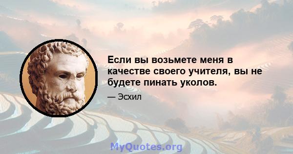 Если вы возьмете меня в качестве своего учителя, вы не будете пинать уколов.