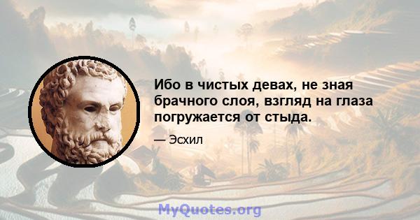 Ибо в чистых девах, не зная брачного слоя, взгляд на глаза погружается от стыда.