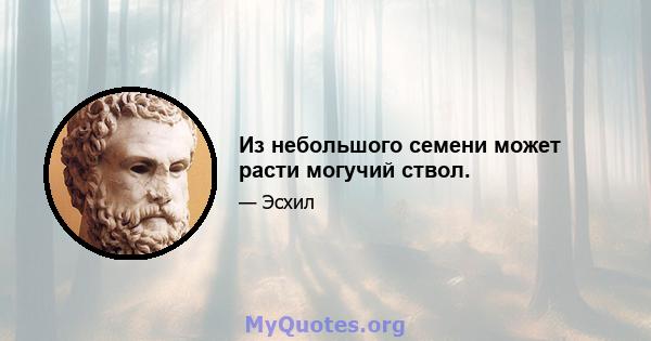 Из небольшого семени может расти могучий ствол.