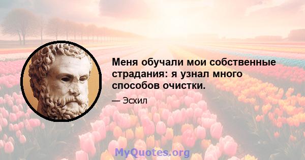 Меня обучали мои собственные страдания: я узнал много способов очистки.