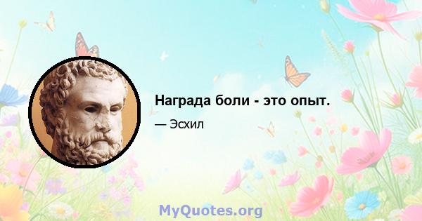 Награда боли - это опыт.